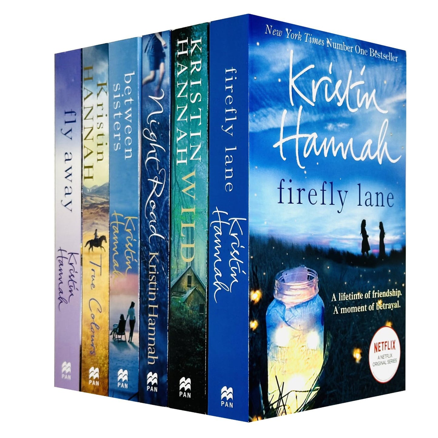 Kristin Hannah 3 Books Collection Set (The Nightingale, The Great Alone & Firefly Lane)