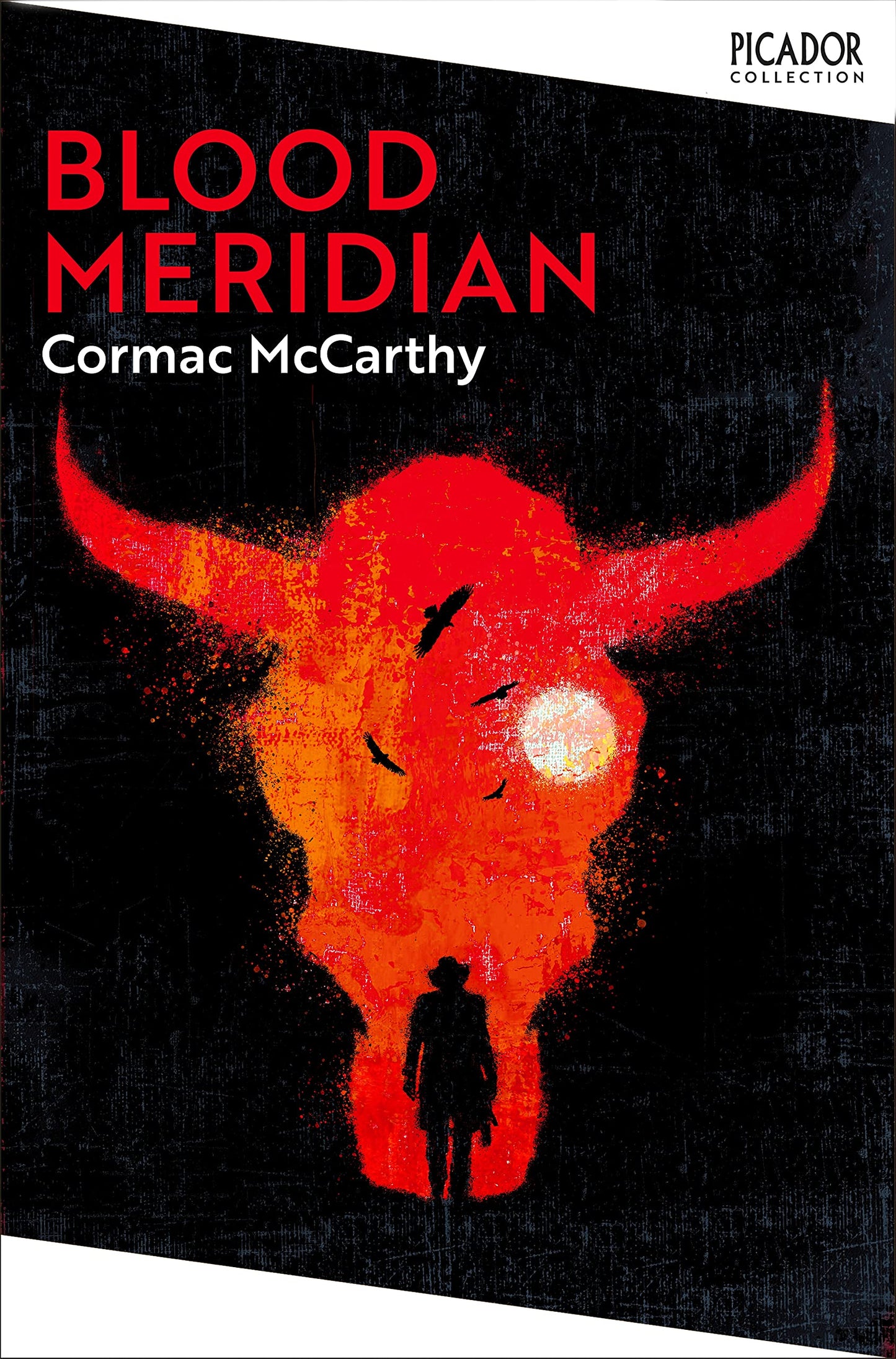 Blood Meridian: Cormac McCarthy (Picador Collection, 2)