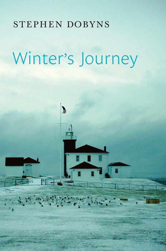 Winter's Journey - 7