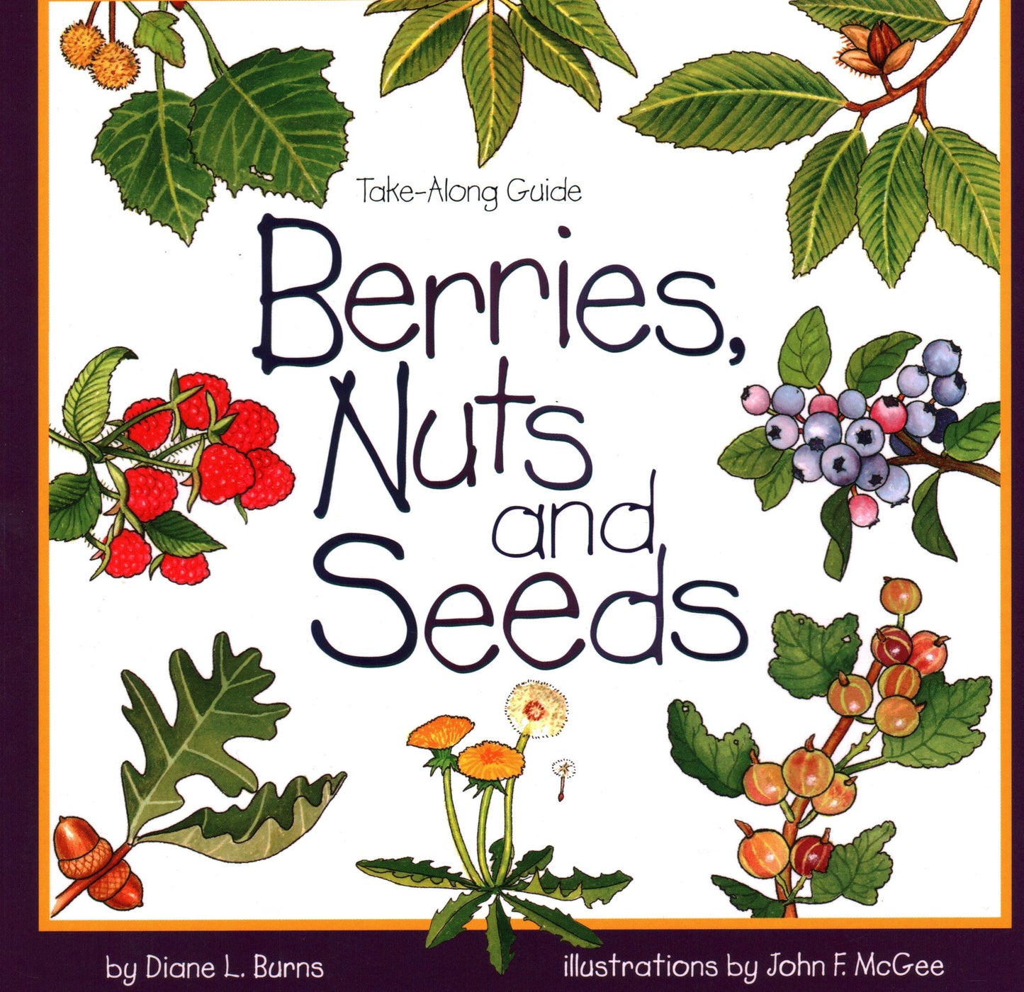 Berries, Nuts, And Seeds (Take Along Guides) - 9933
