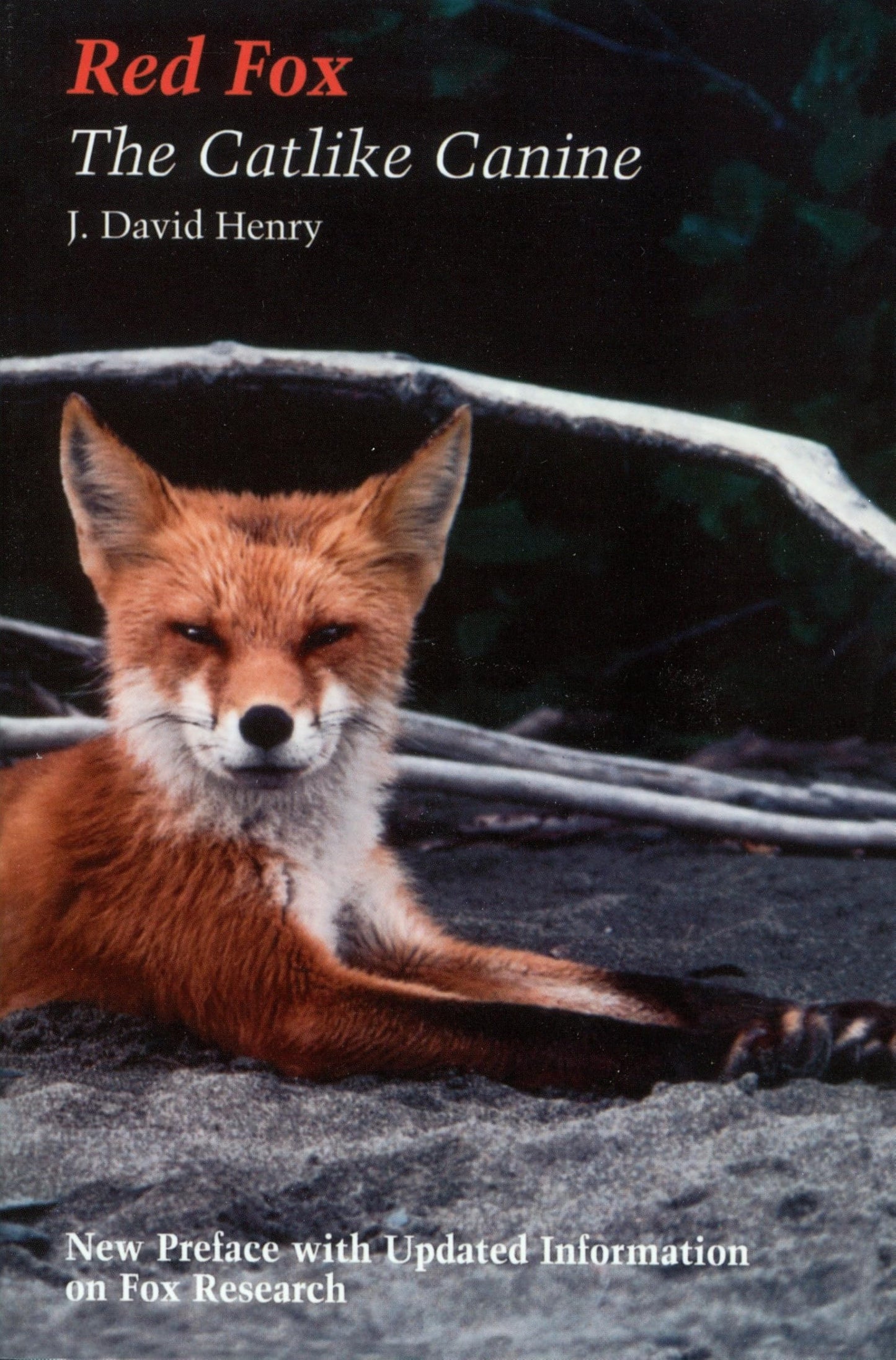 Red fox: The Catlike Canine (Smithsonian Nature Book) - 6686