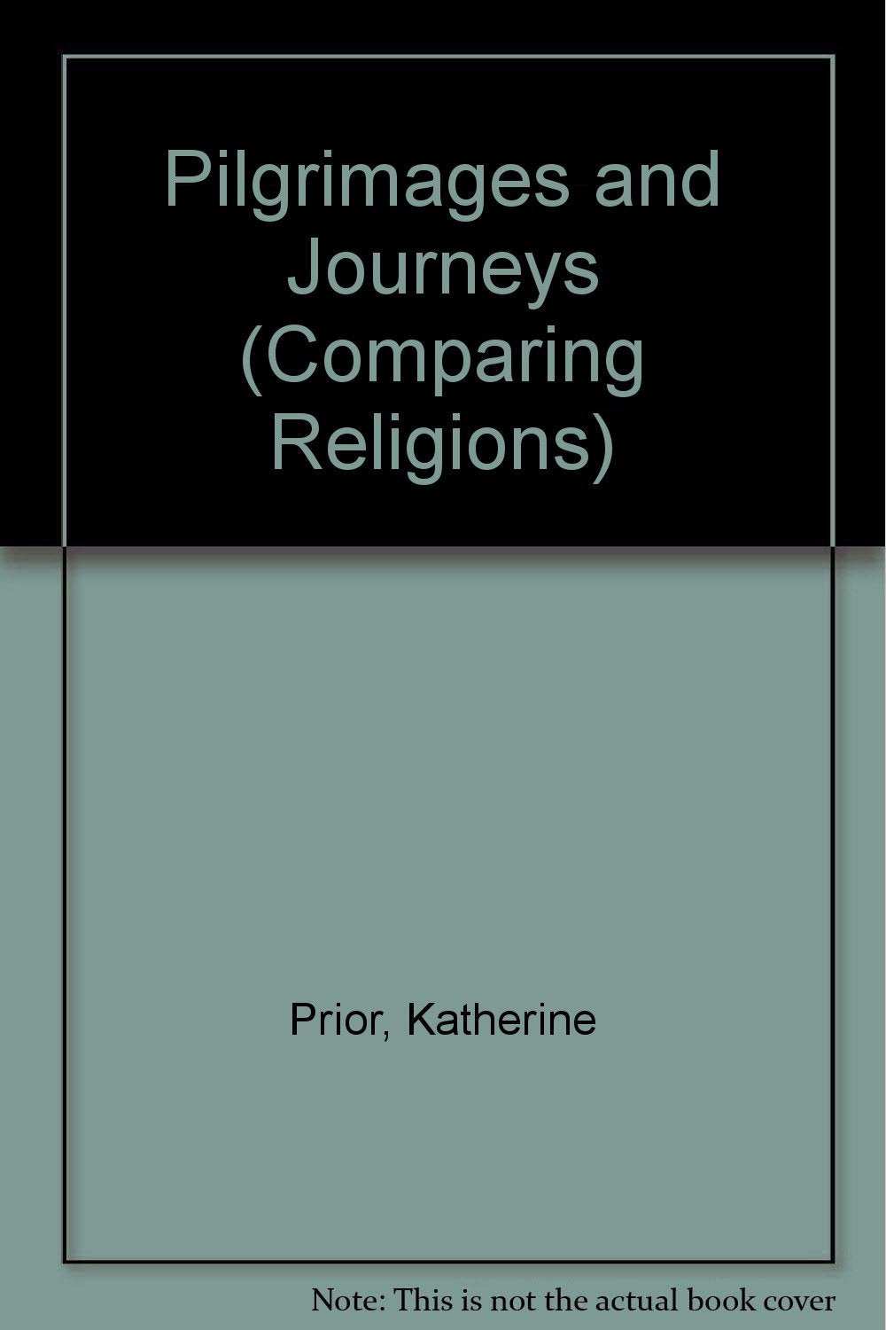 Pilgrimages and Journeys (Comparing Religions) - 2503
