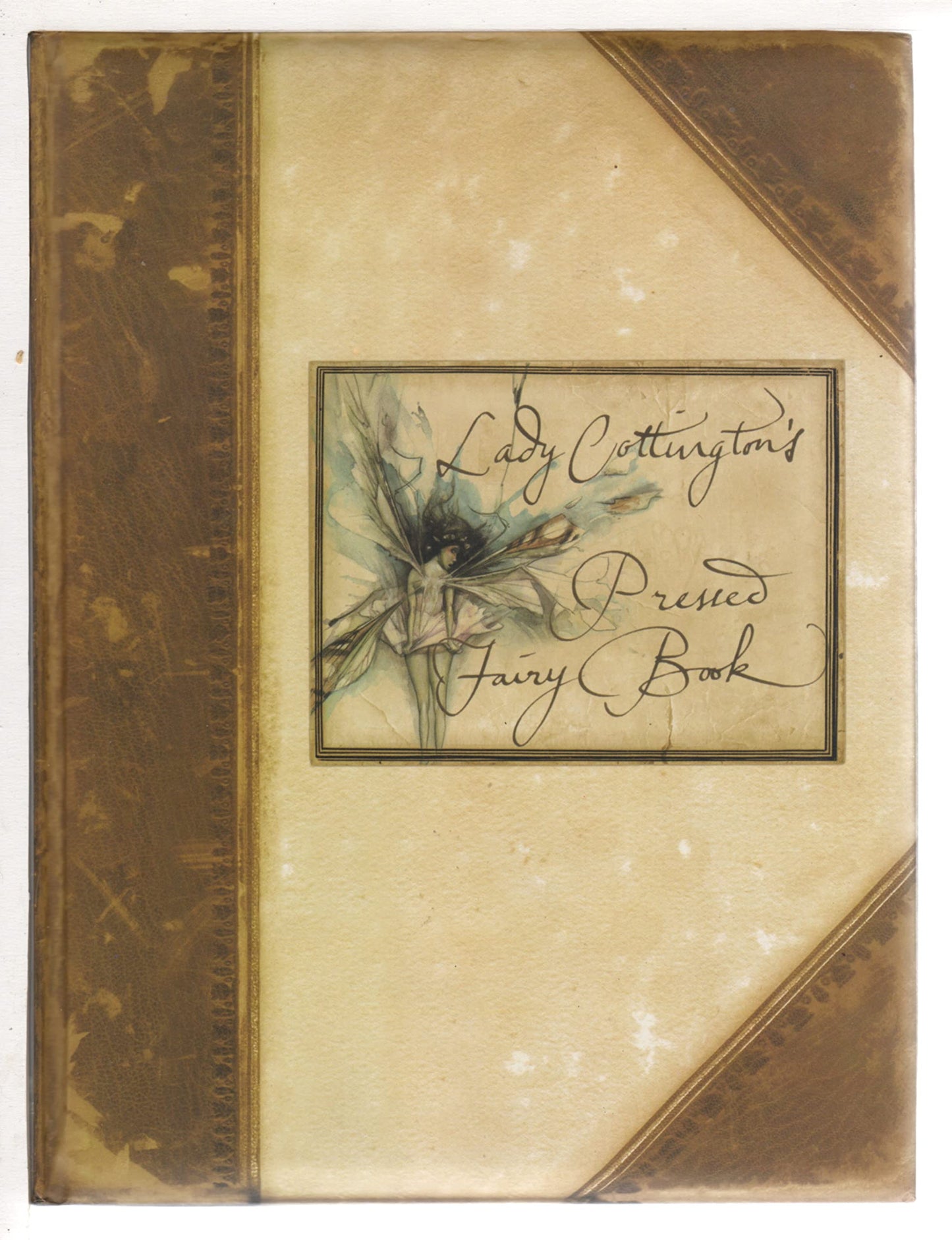 Lady Cottington's Pressed Fairy Book