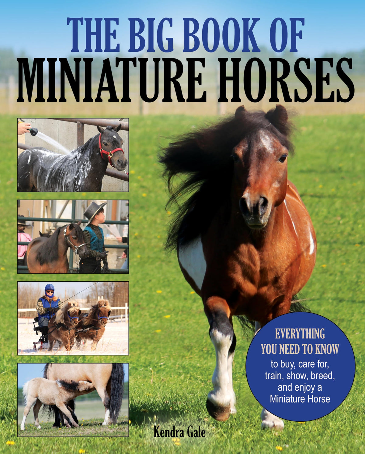 Big Book of Miniature Horses: Everything You Need to Know to Buy, Care for, Train, Show, Breed, and Enjoy a Miniature Horse