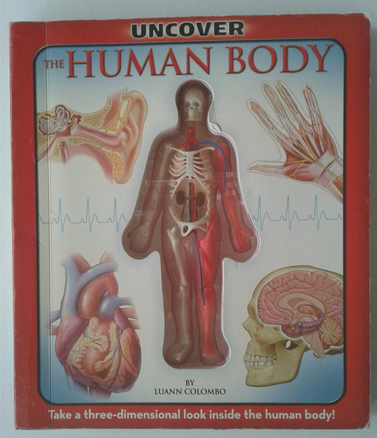 Uncover the Human Body: An Uncover It Book - 209