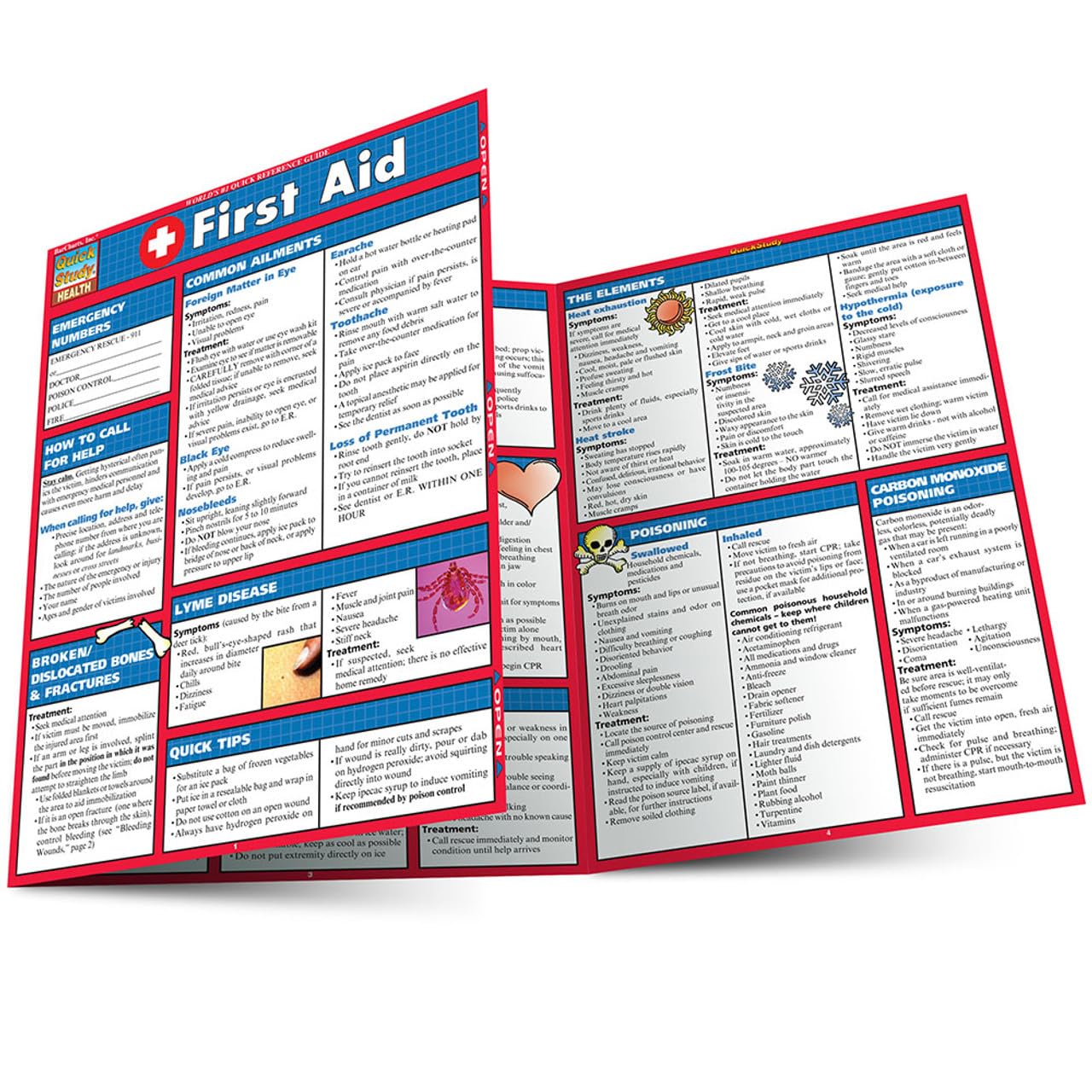 First Aid: QuickStudy Laminated Reference Guide (Quick Study Health)