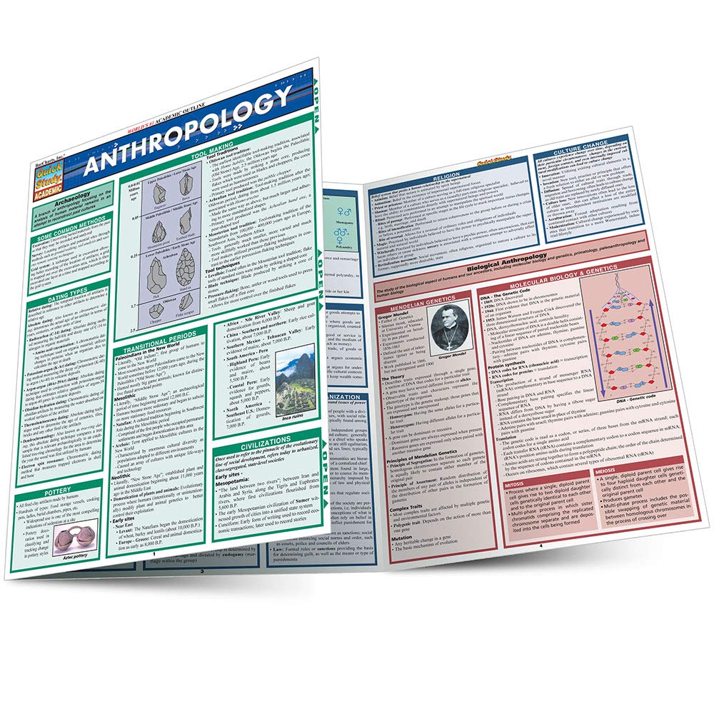Anthropology (Quick Study Academic)