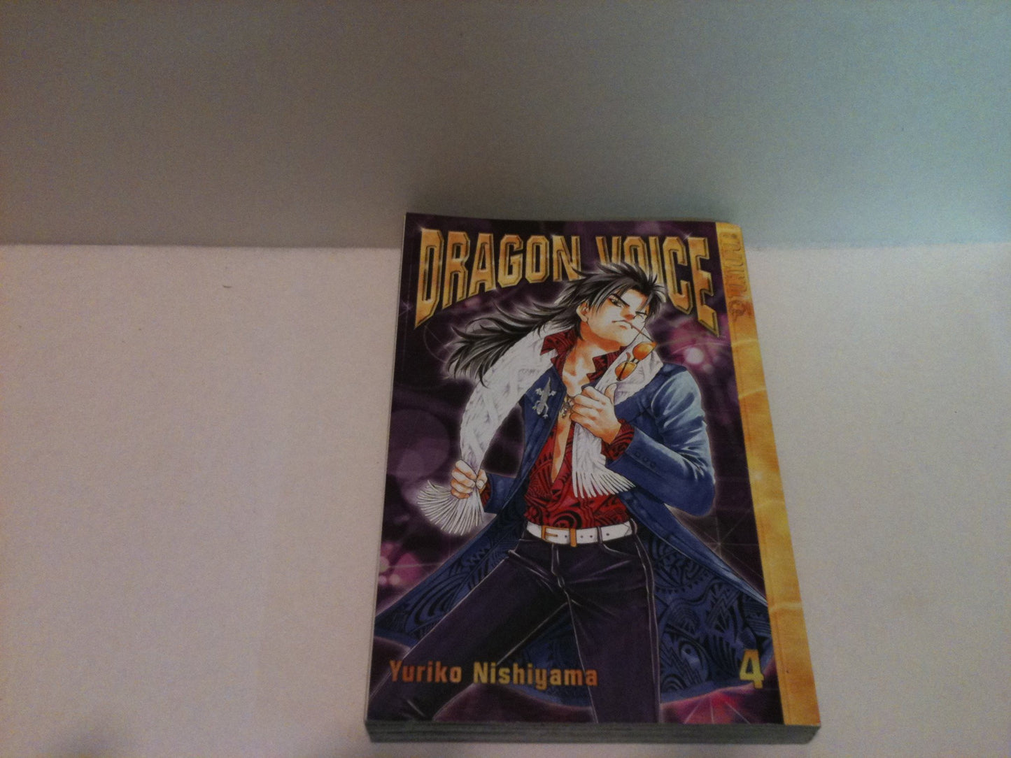 Dragon Voice, Vol. 4
