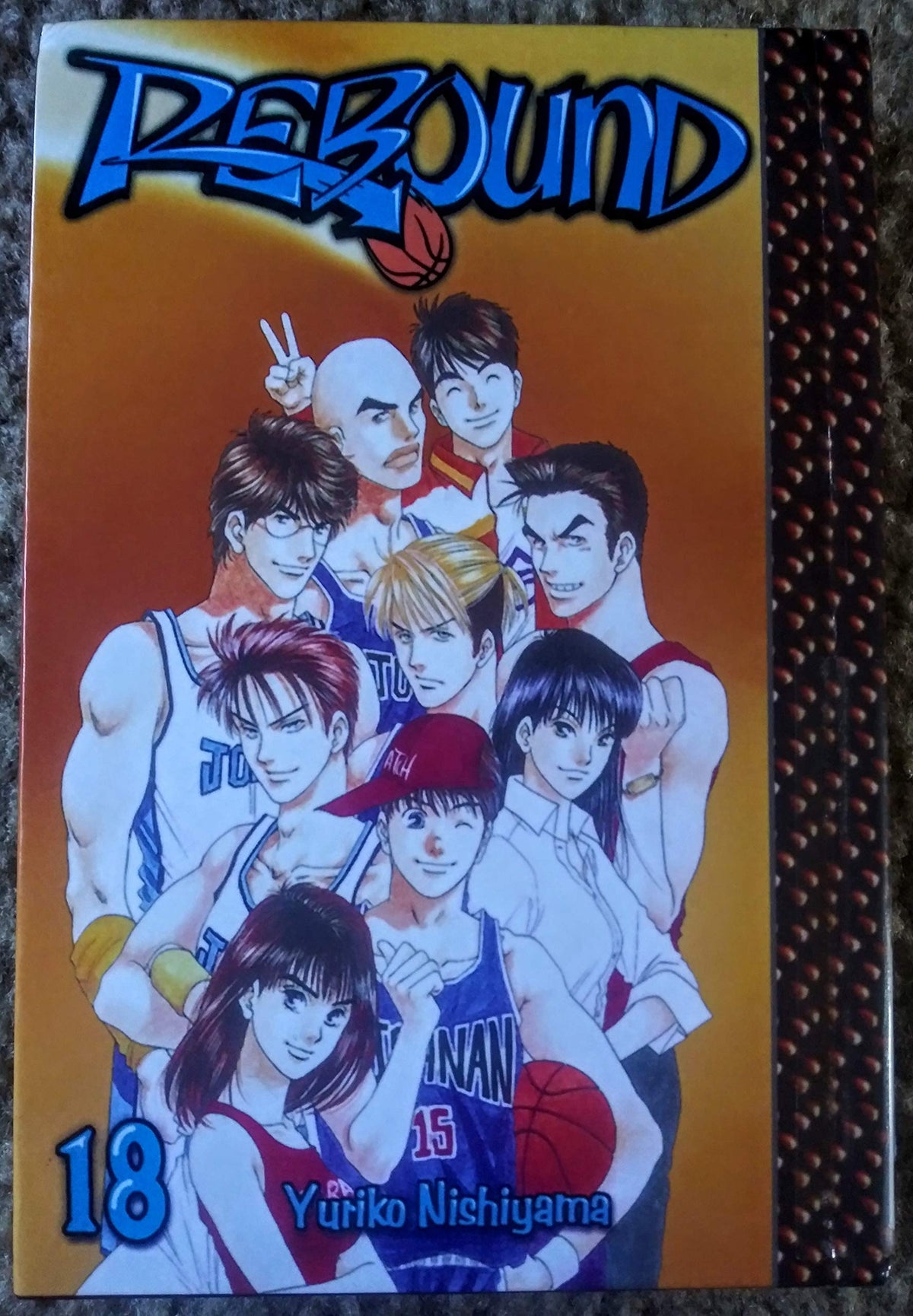 Rebound, Vol. 18