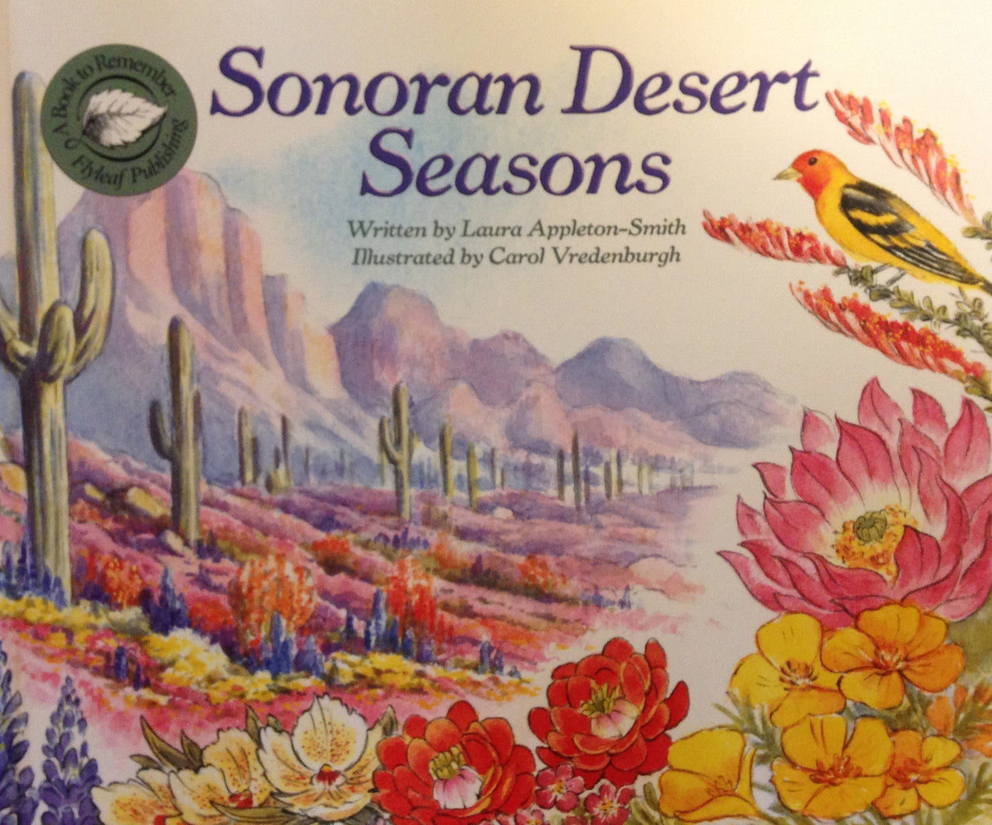 Sonoran Desert Seasons
