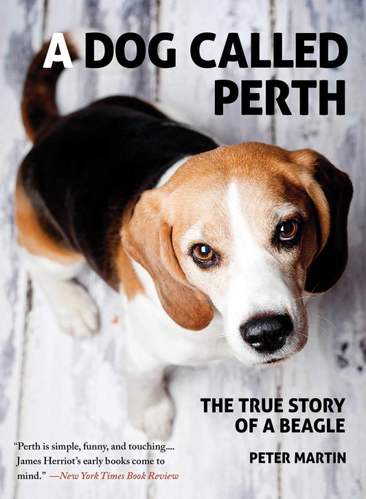 A Dog Called Perth: The True Story of a Beagle - 7076