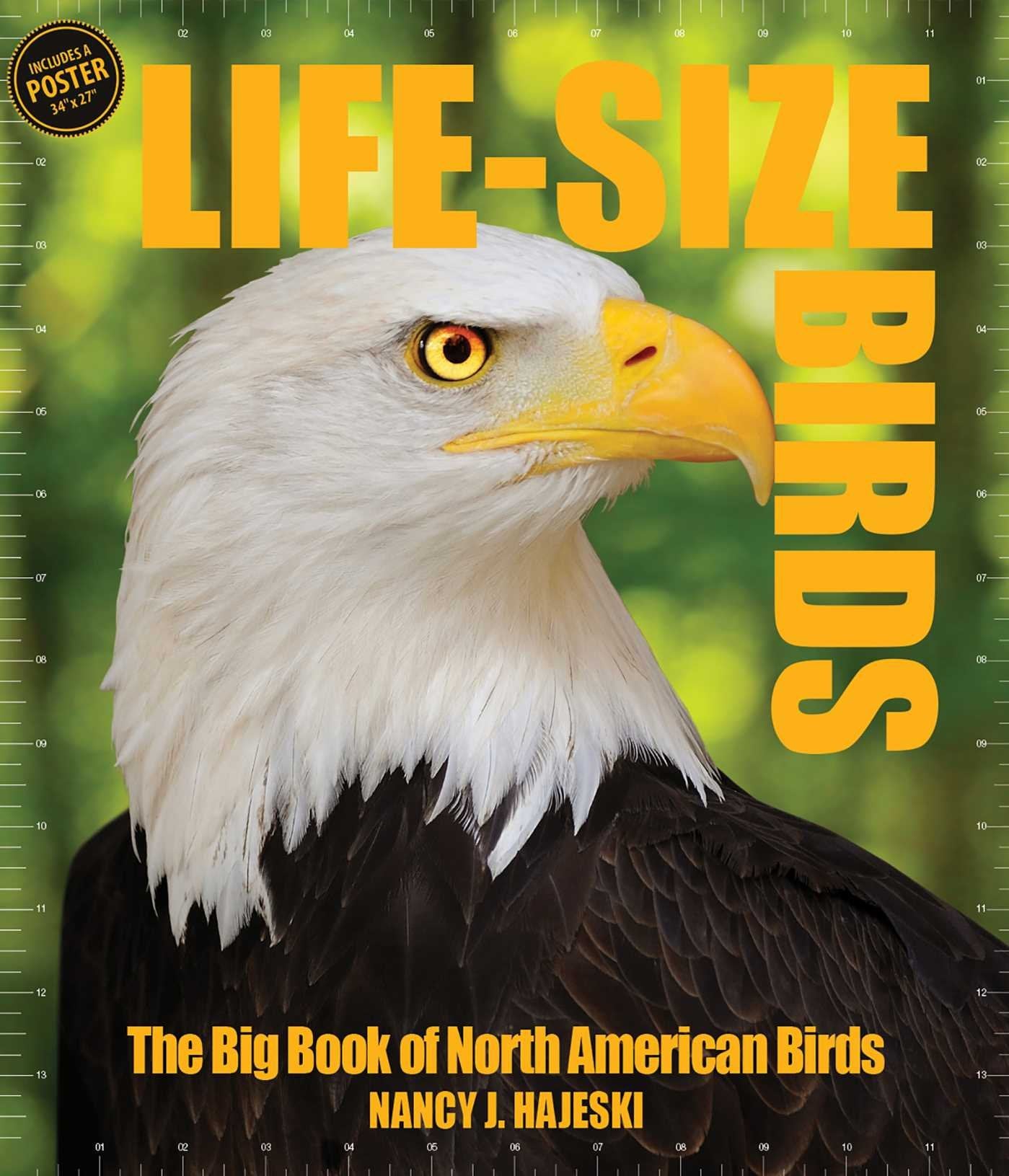 Life-Size Birds: The Big Book of North American Birds