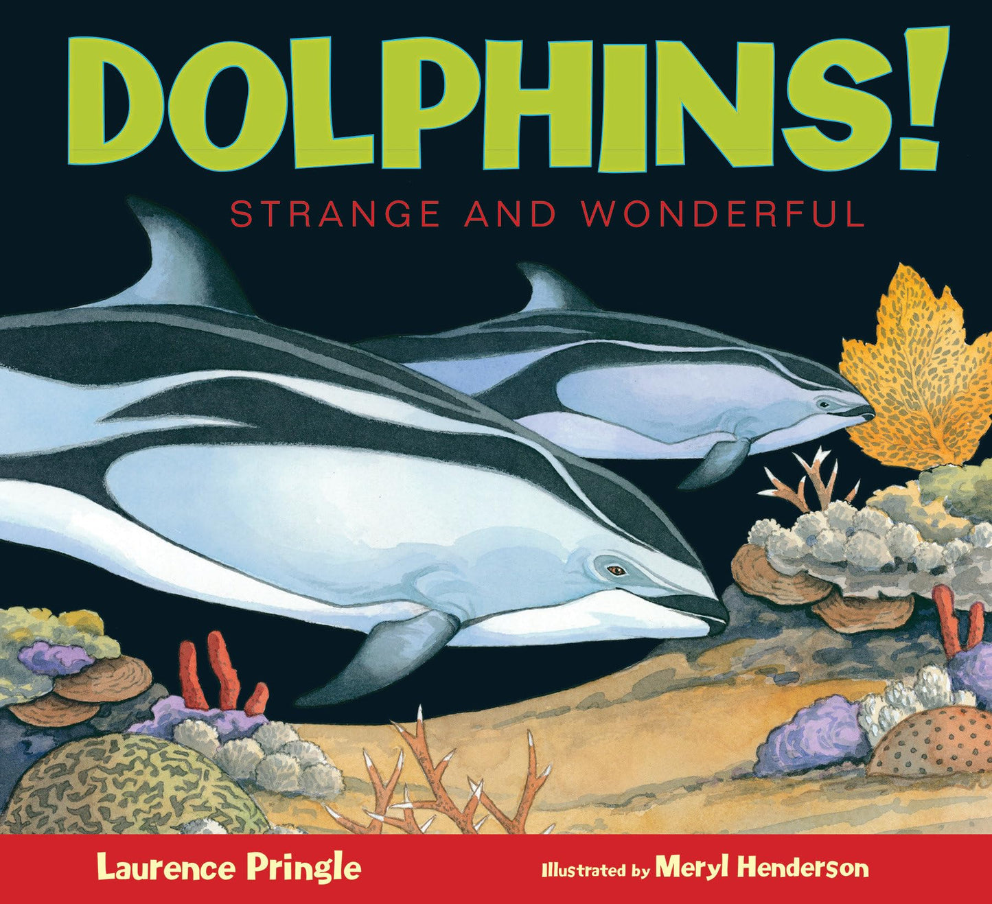 Dolphins! (Strange and Wonderful)