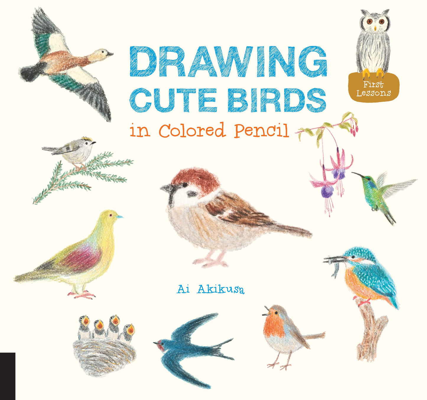 Drawing Cute Birds in Colored Pencil (Volume 2)