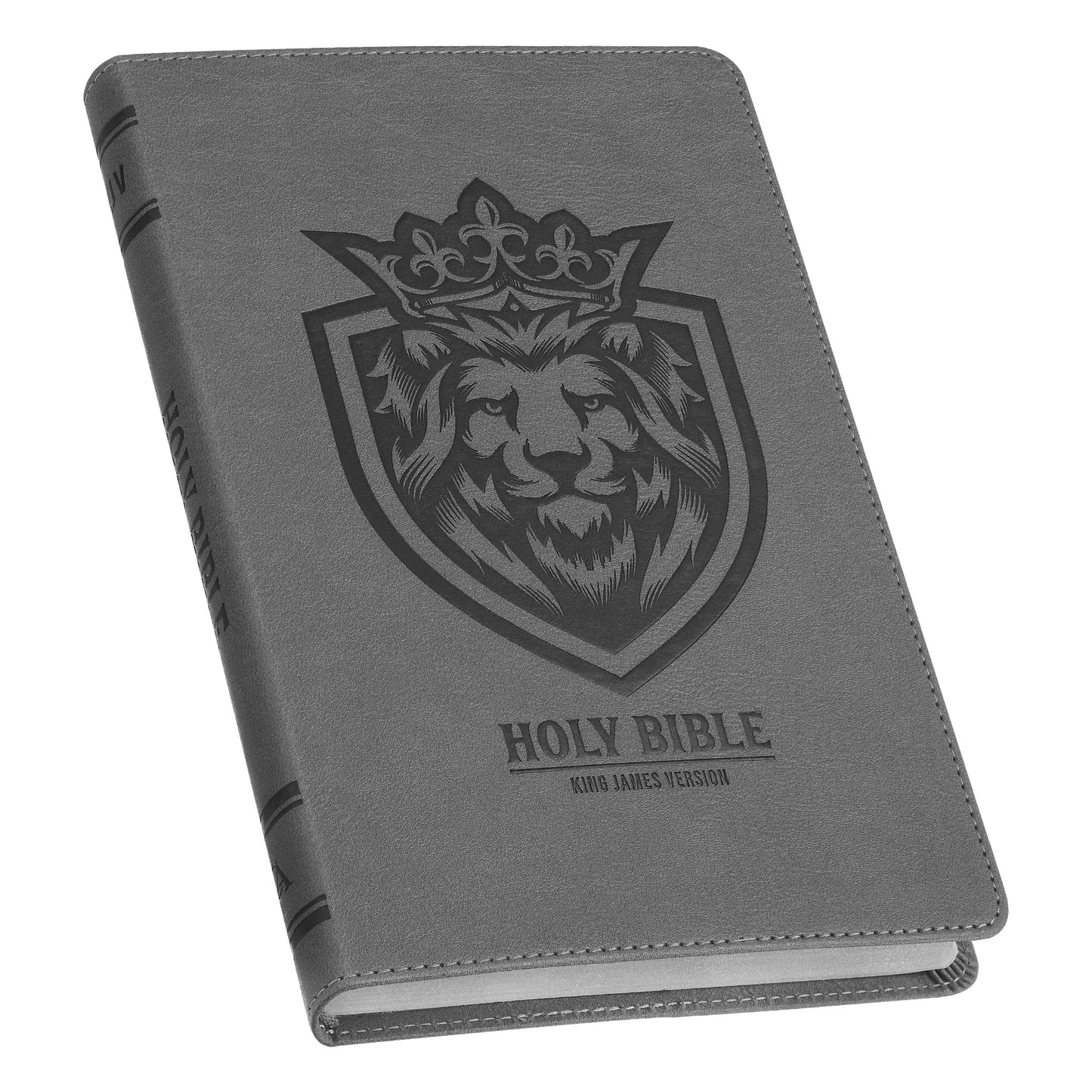 KJV Holy Bible, Gift Edition for Boys King James Version, Faux Leather Flexible Cover, Charcoal Gray Lion Emblem (KJV Gift Editions)