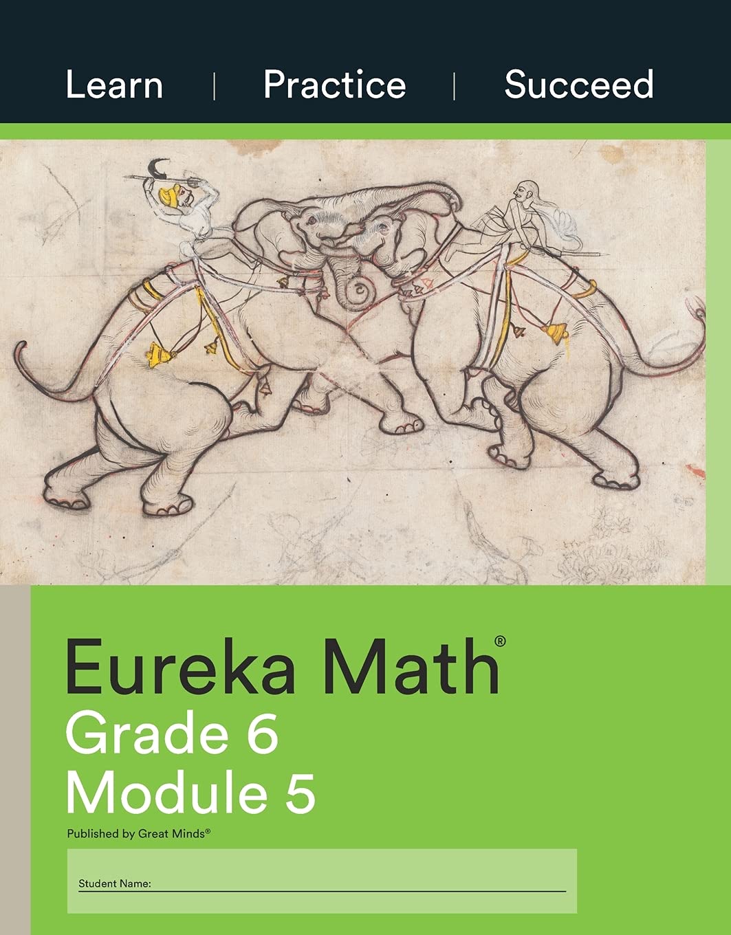 Eureka Math, Learn Practice Succeed, Grade 6 Module 5, c. 2015 9781640549685, 1640549684