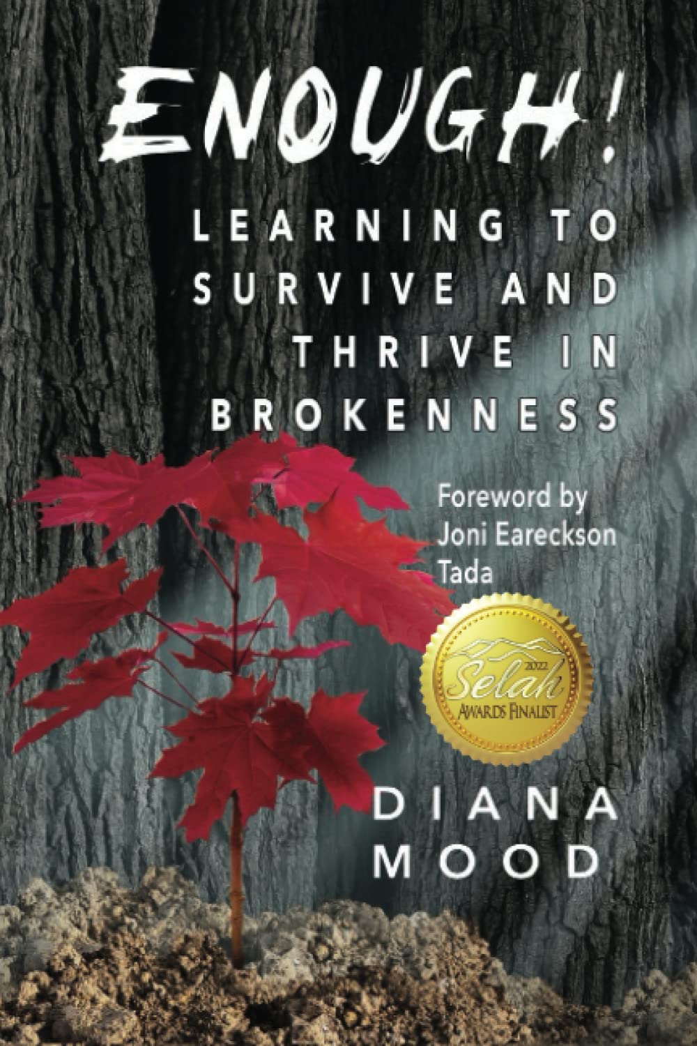 Enough!: Learning to Survive and Thrive in Brokenness