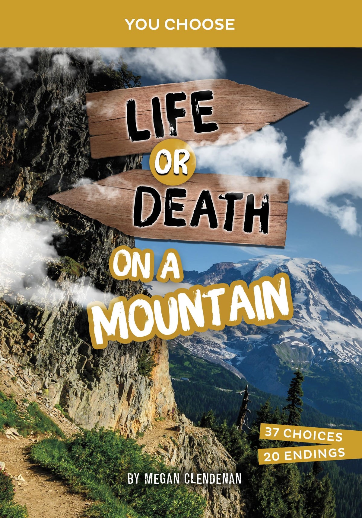 Life or Death on a Mountain: An Interactive Survival Adventure (You Choose Books)
