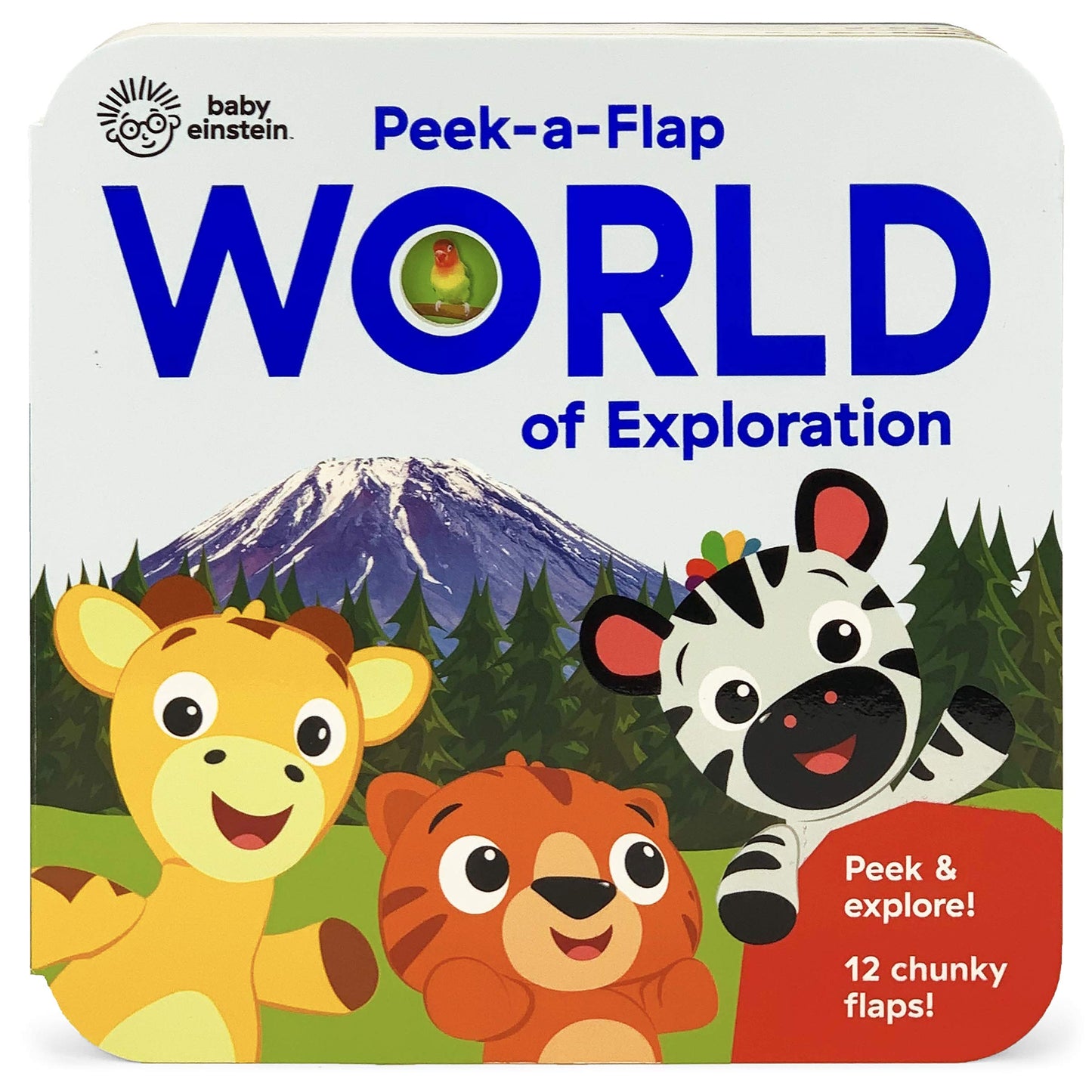 Baby Einstein World of Exploration: Peek a Flap Book