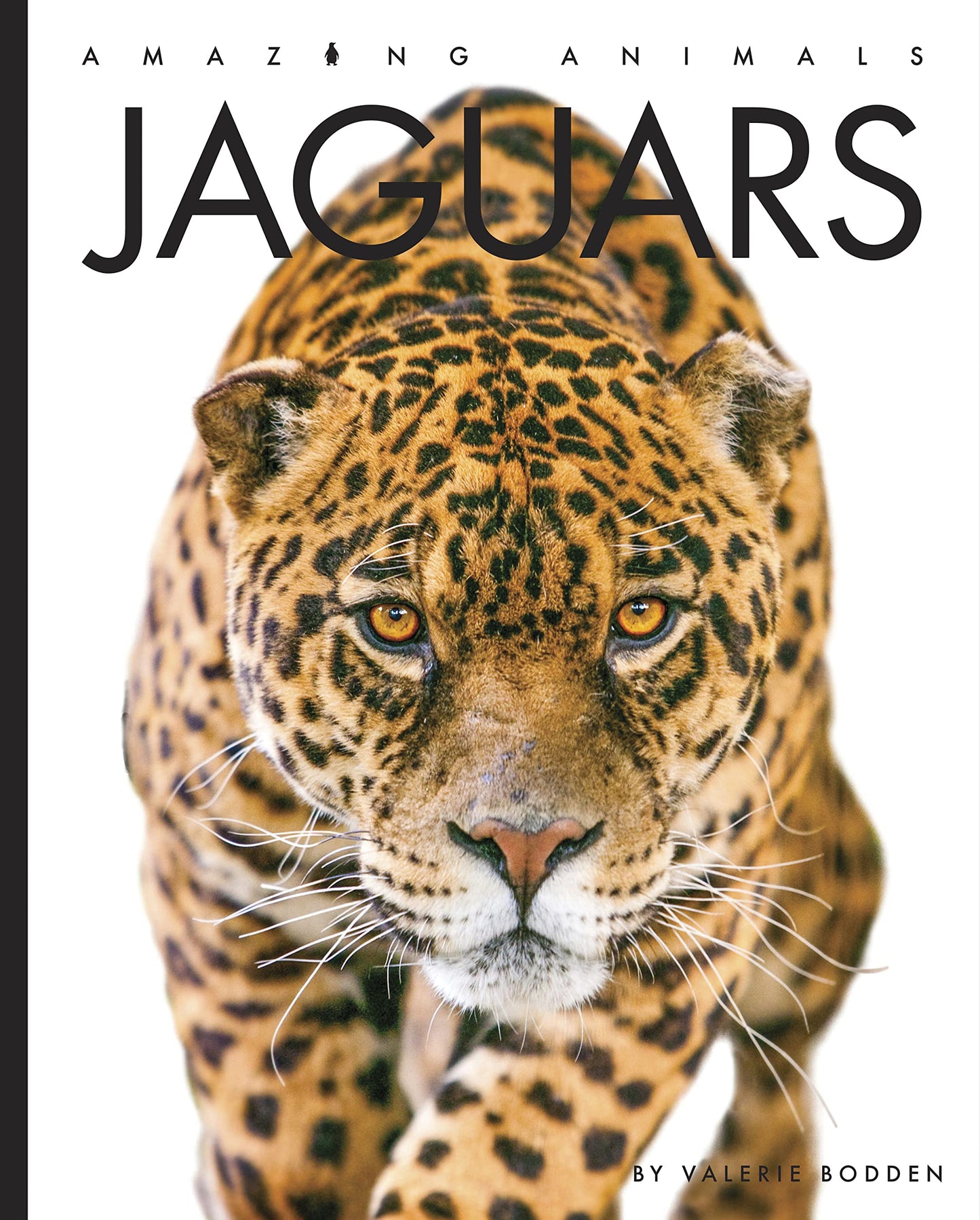 Jaguars (Amazing Animals)
