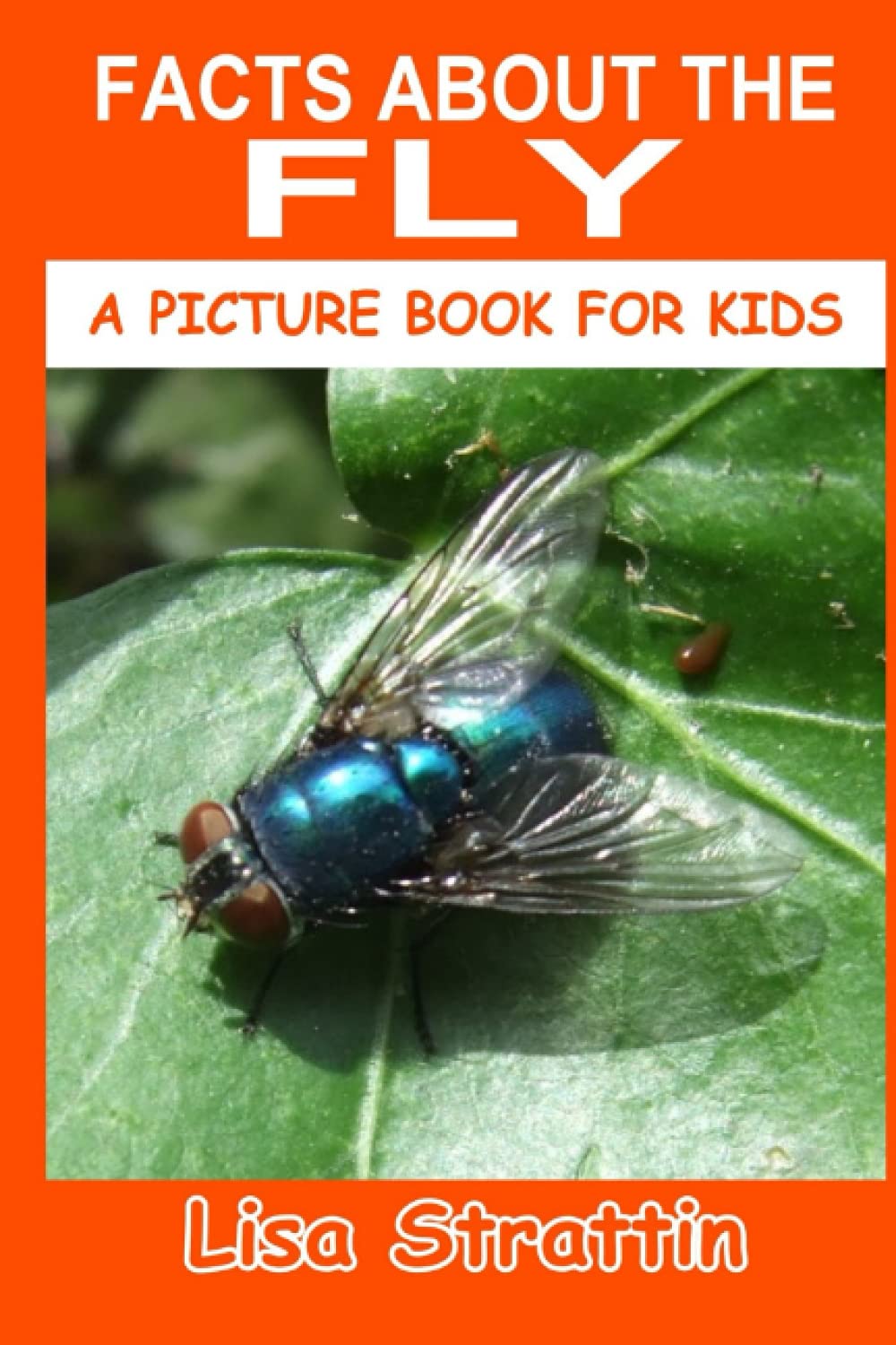 Facts About the Fly (A Picture Book For Kids)