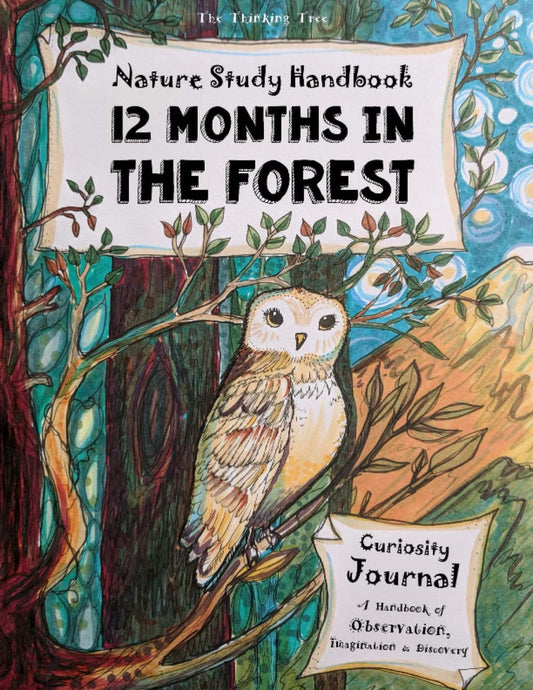 Nature Study Handbook - 12 Months in the Forest: The Thinking Tree - Curiosity Journal - A Handbook of Observation & Discovery - 1950