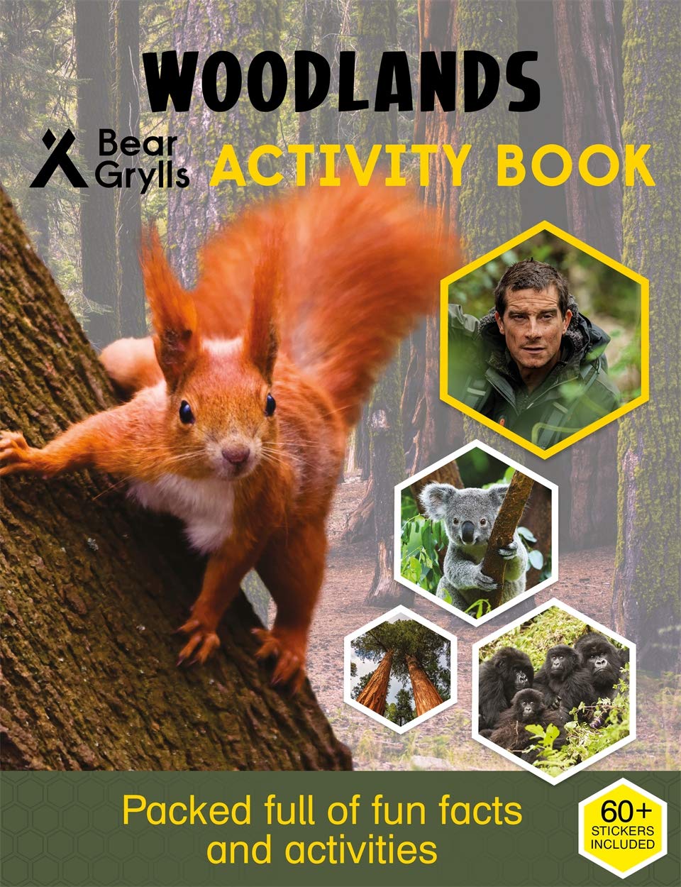 Bear Grylls Sticker Activity: Woodland - 3708