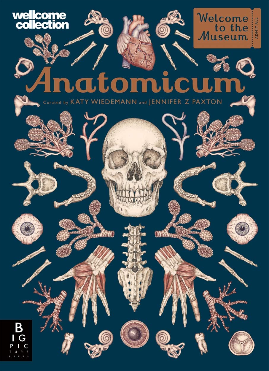 Anatomicum - 9318