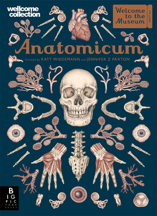 Anatomicum - 9318