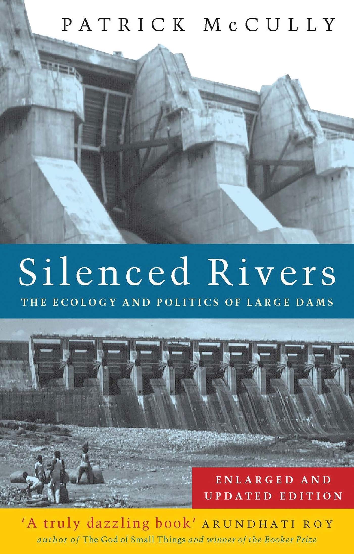 Silenced Rivers: The Ecology and Politics of Large Dams