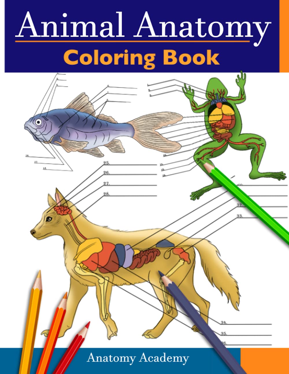Animal Anatomy Coloring Book: Incredibly Detailed Self-Test Veterinary Anatomy Color workbook | Perfect Gift for Vet Students & Animal Lovers - 8333