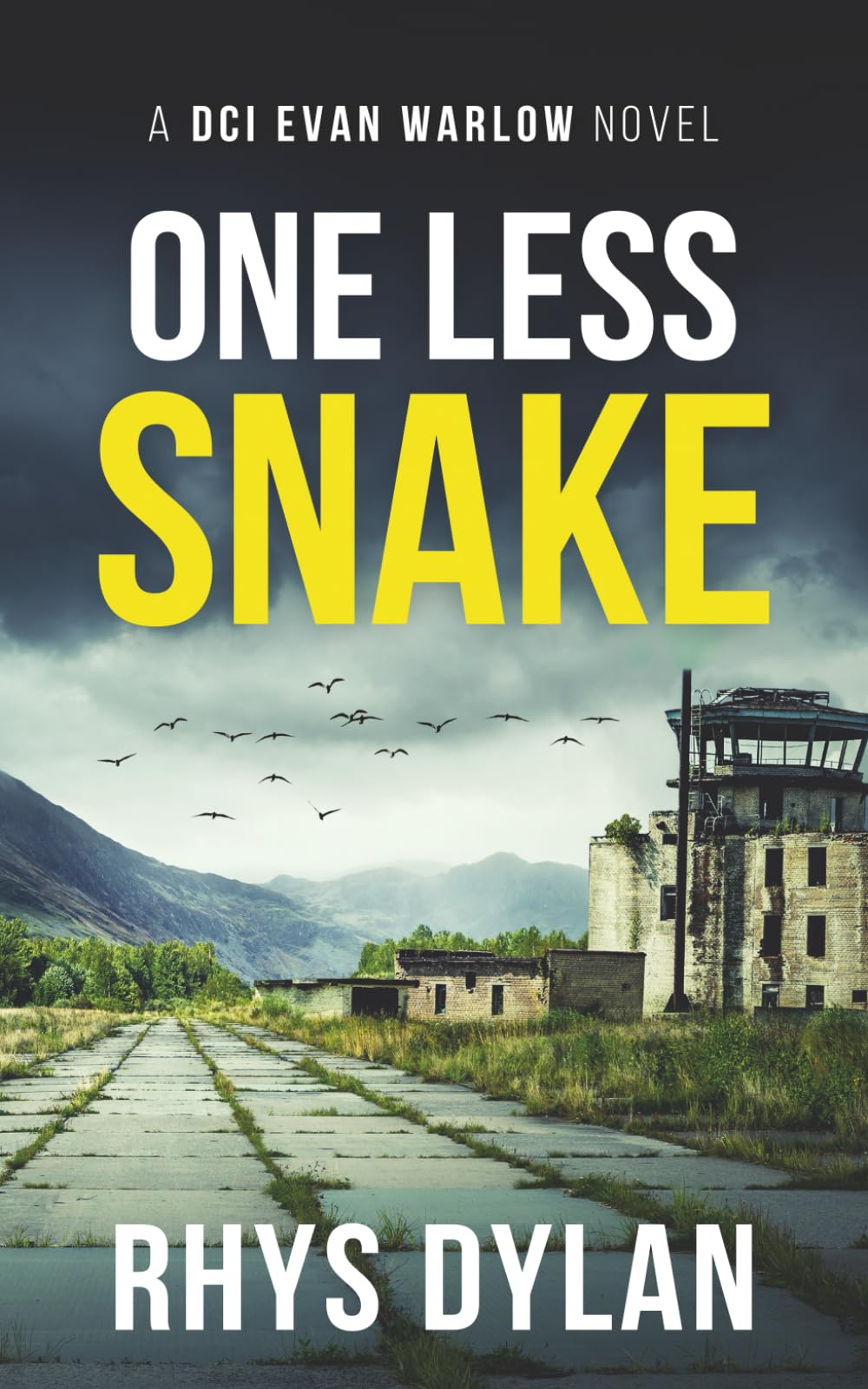 One Last Snake: A Black Beacons Murder Mystery (DCI Evan Warlow Crime Thriller)