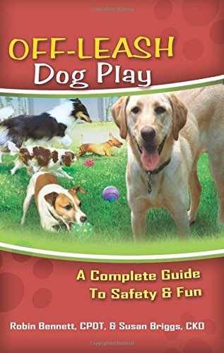 Off-Leash Dog Play: A Complete Guide to Safety and Fun