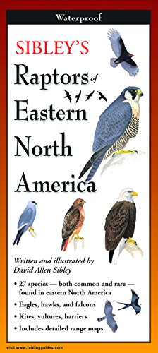 Earth Sky + Water FoldingGuide� - Sibley�s Raptors of Eastern North America - 10 Panel Foldable Laminated Nature Identification Guide