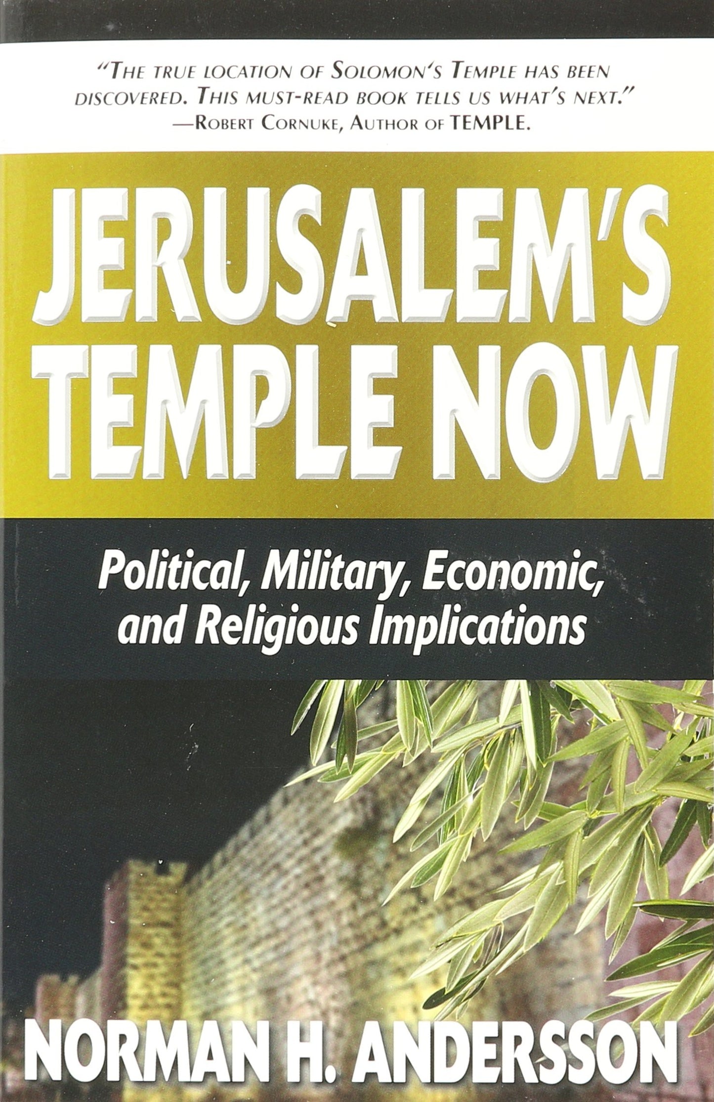Jerusalem's Temple Now!: Political, Military, Economic, and Religious Implications
