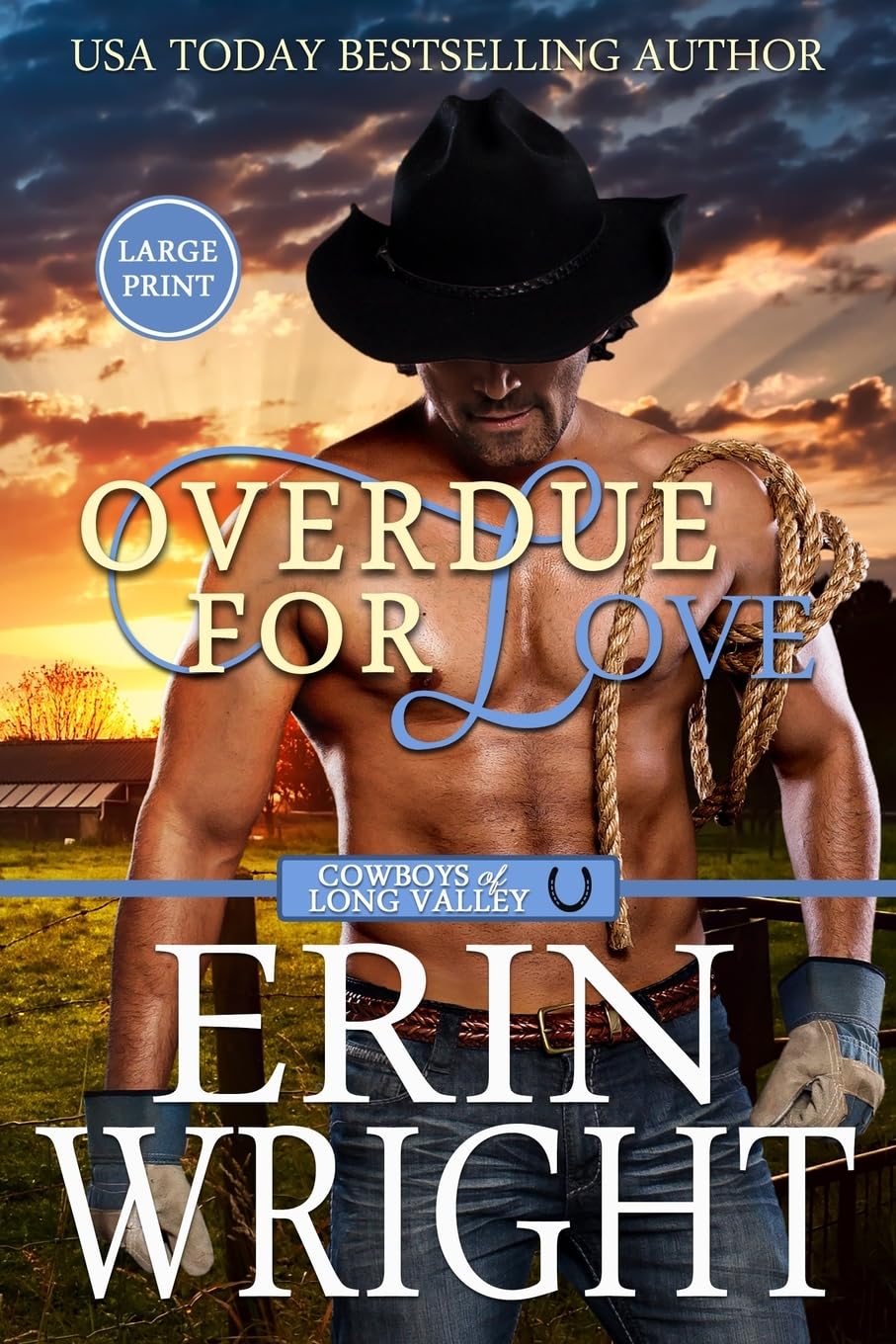 Overdue for Love: A Western Romance Novella (Cowboys of Long Valley Romance - Large Print)