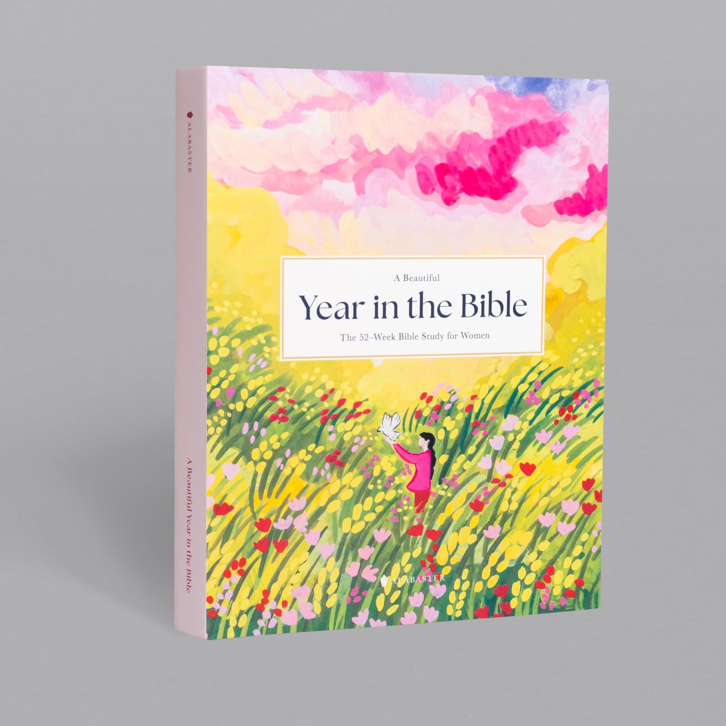 A Beautiful Year in the Bible: The 52-Week Bible Study for Women (Hc)