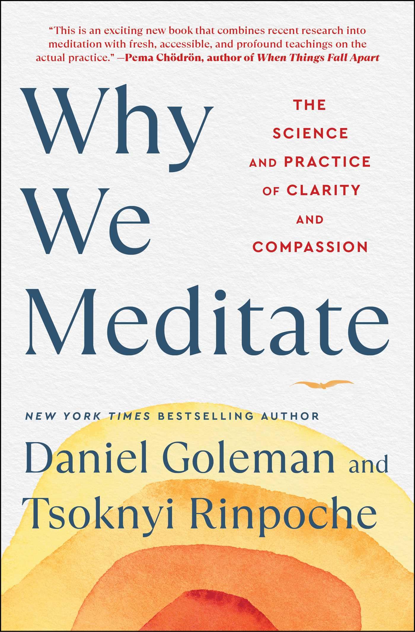 Why We Meditate: The Science and Practice of Clarity and Compassion - 7958
