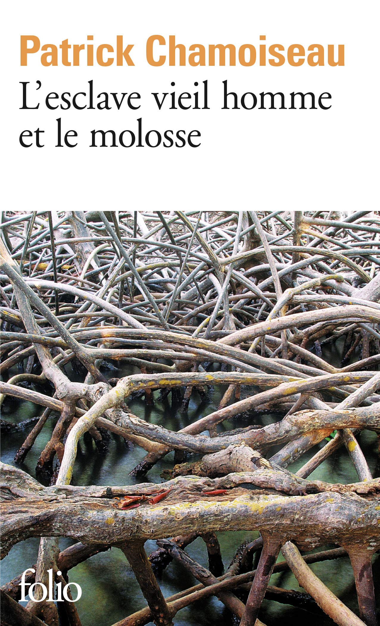 L'esclave vieil homme et le molosse