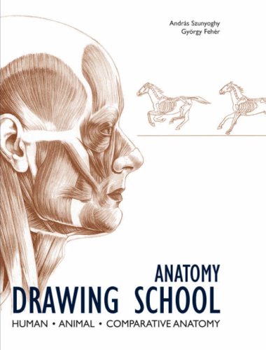 Anatomy Drawing School: Human, Animal, Comparative Anatomy