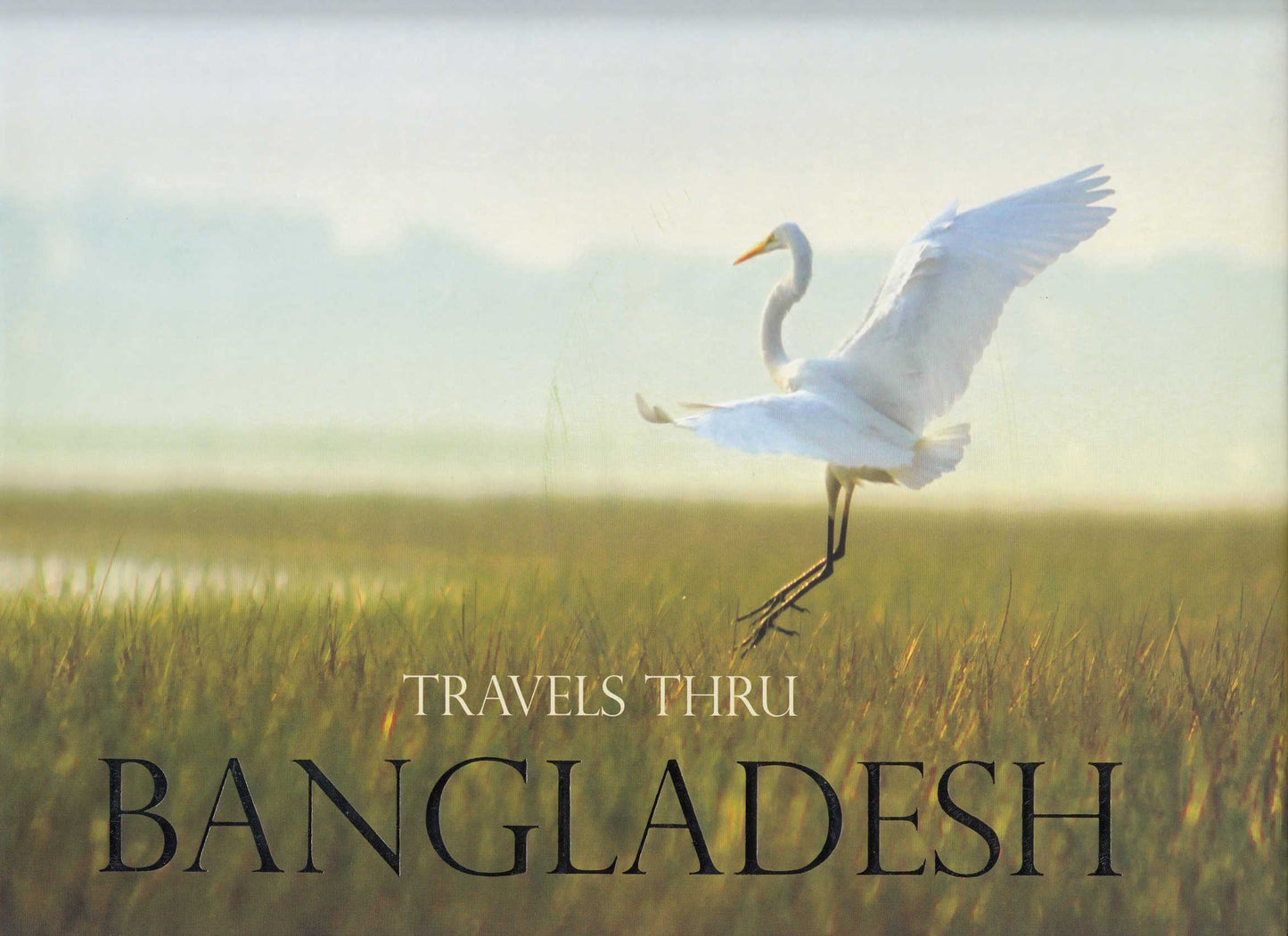 Travels Thru Bangladesh
