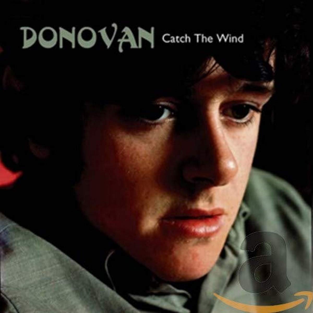 Catch The Wind