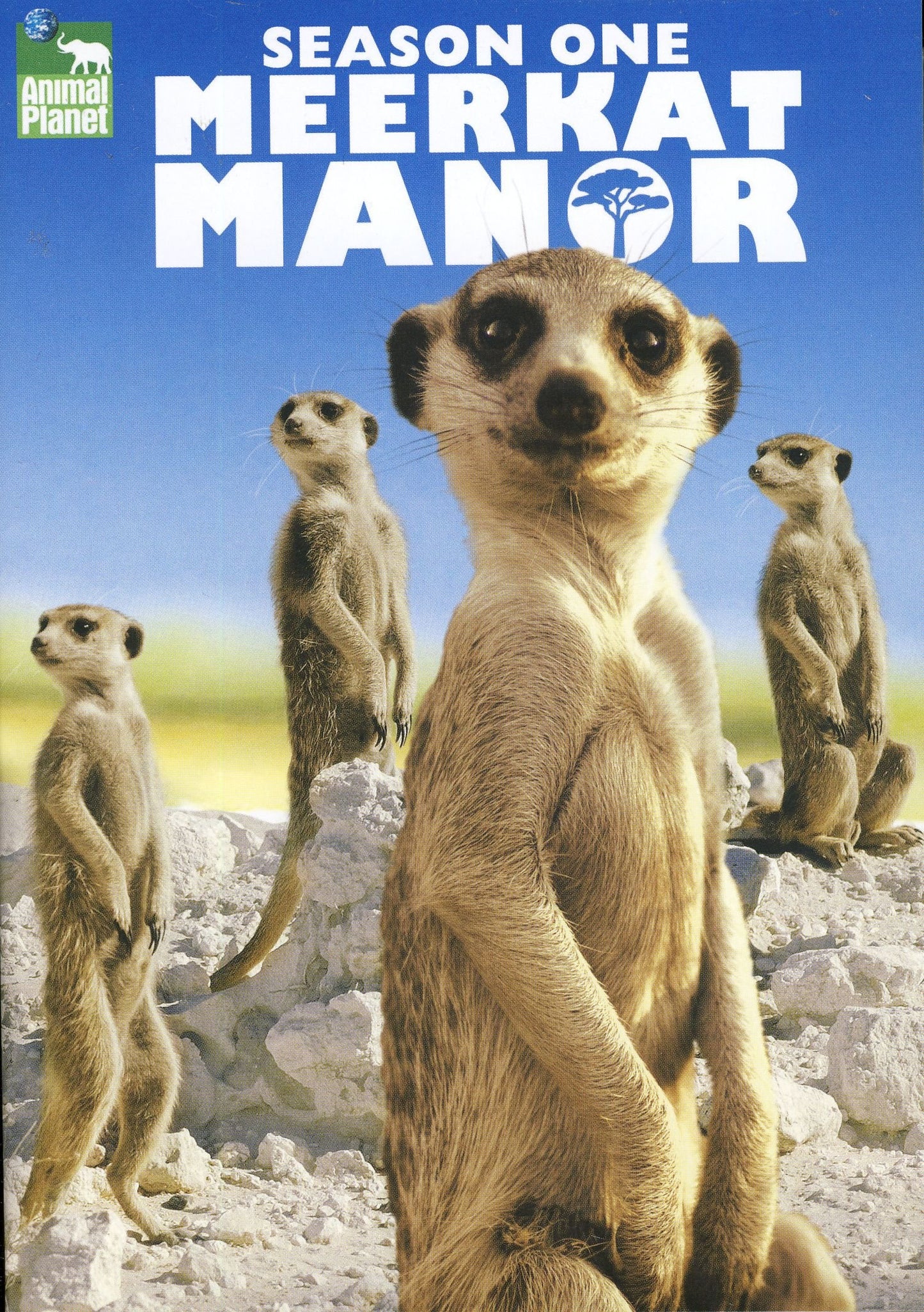 Meerkat Manor - Season 1 [DVD] - 8989