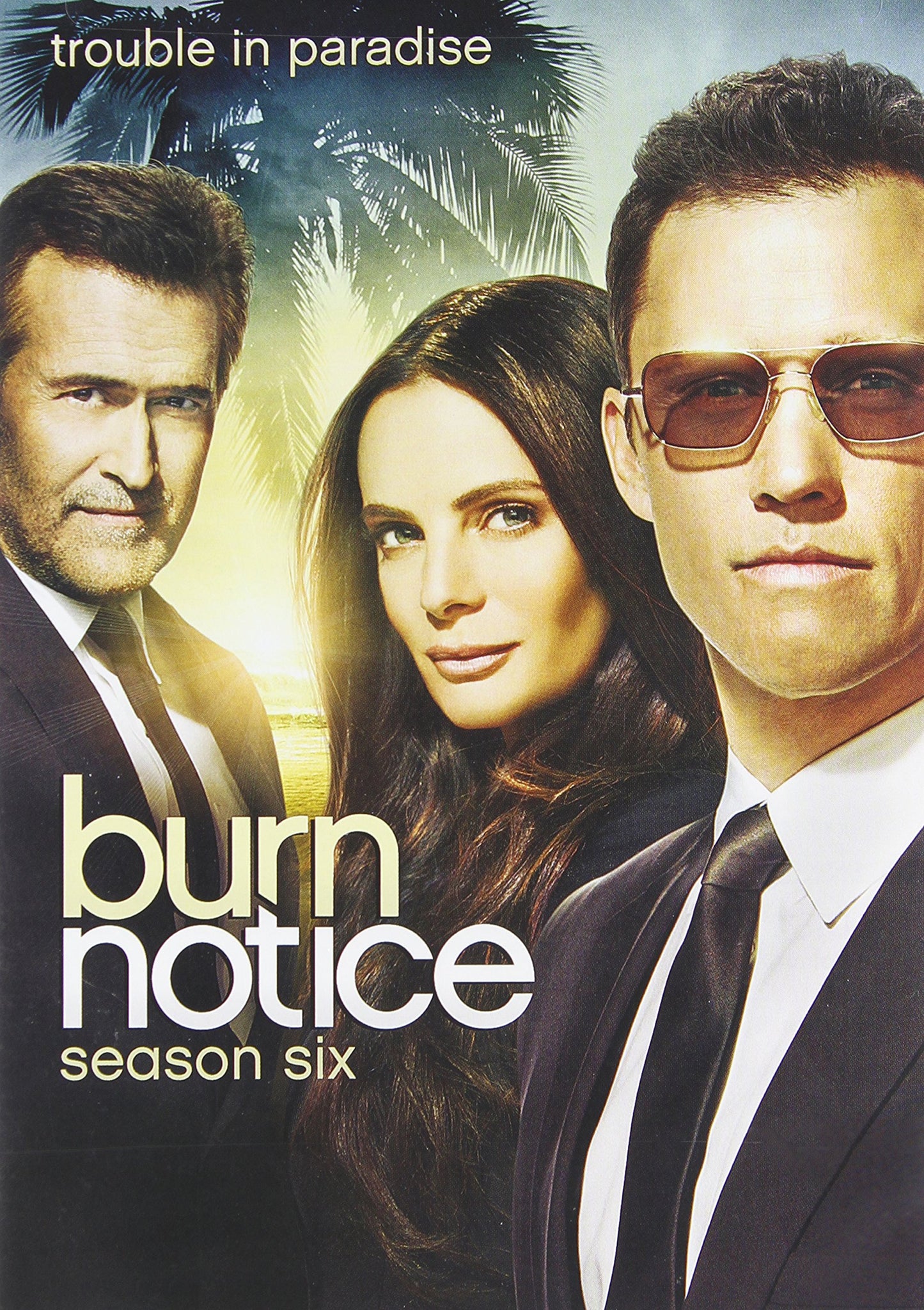 Burn Notice: Season Six