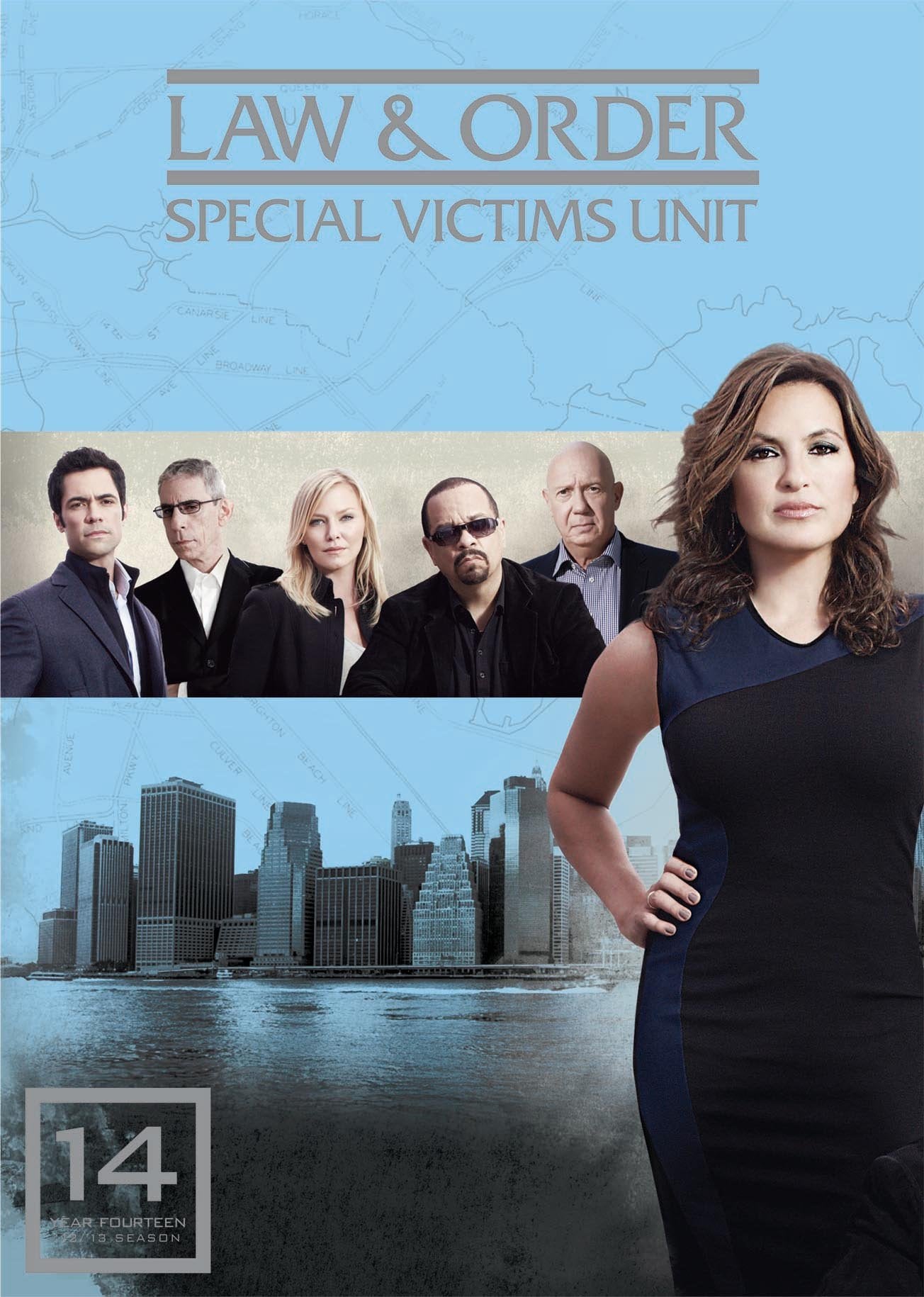 Law & Order: Special Victims Unit - Season 14 (DVD)