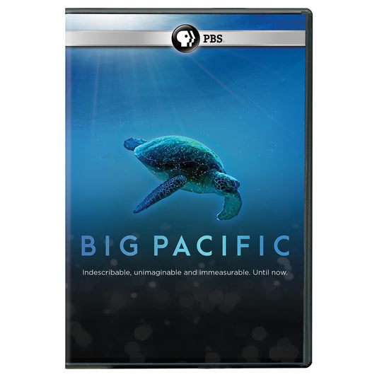 Big Pacific DVD - 3524