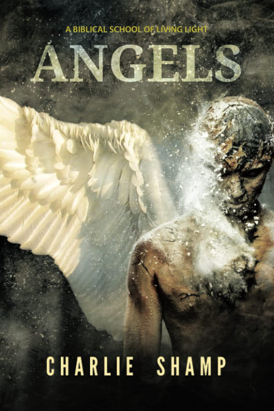 Angels: A Biblical School of Living Light - 9