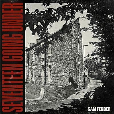 SEVENTEEN GOING UNDER-FENDER,SAM