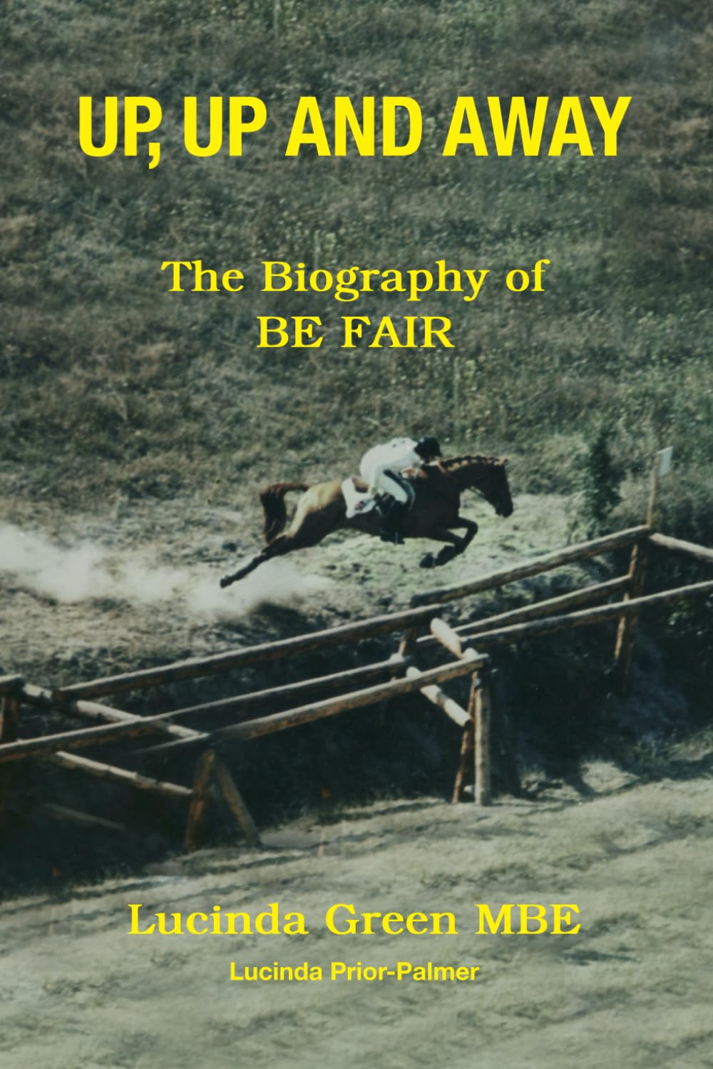 Up, Up and Away: The Biography of BE FAIR
