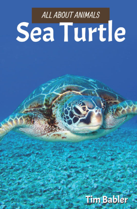 All About Animals - Sea Turtle - 1262